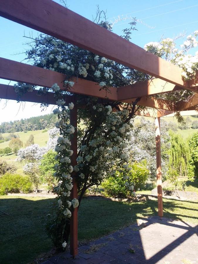 Rosewhite House Panzió Myrtleford Kültér fotó